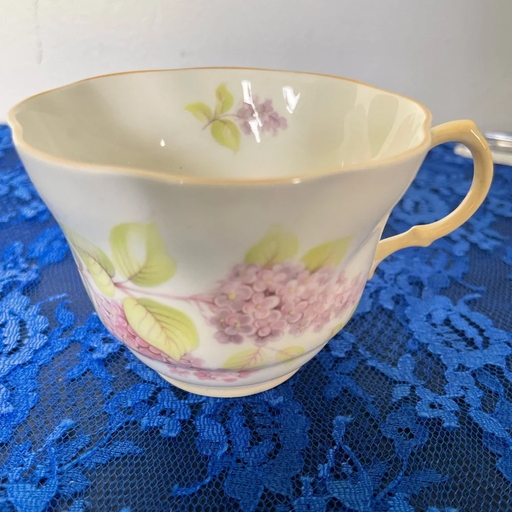 rosina queens elegant teacup
